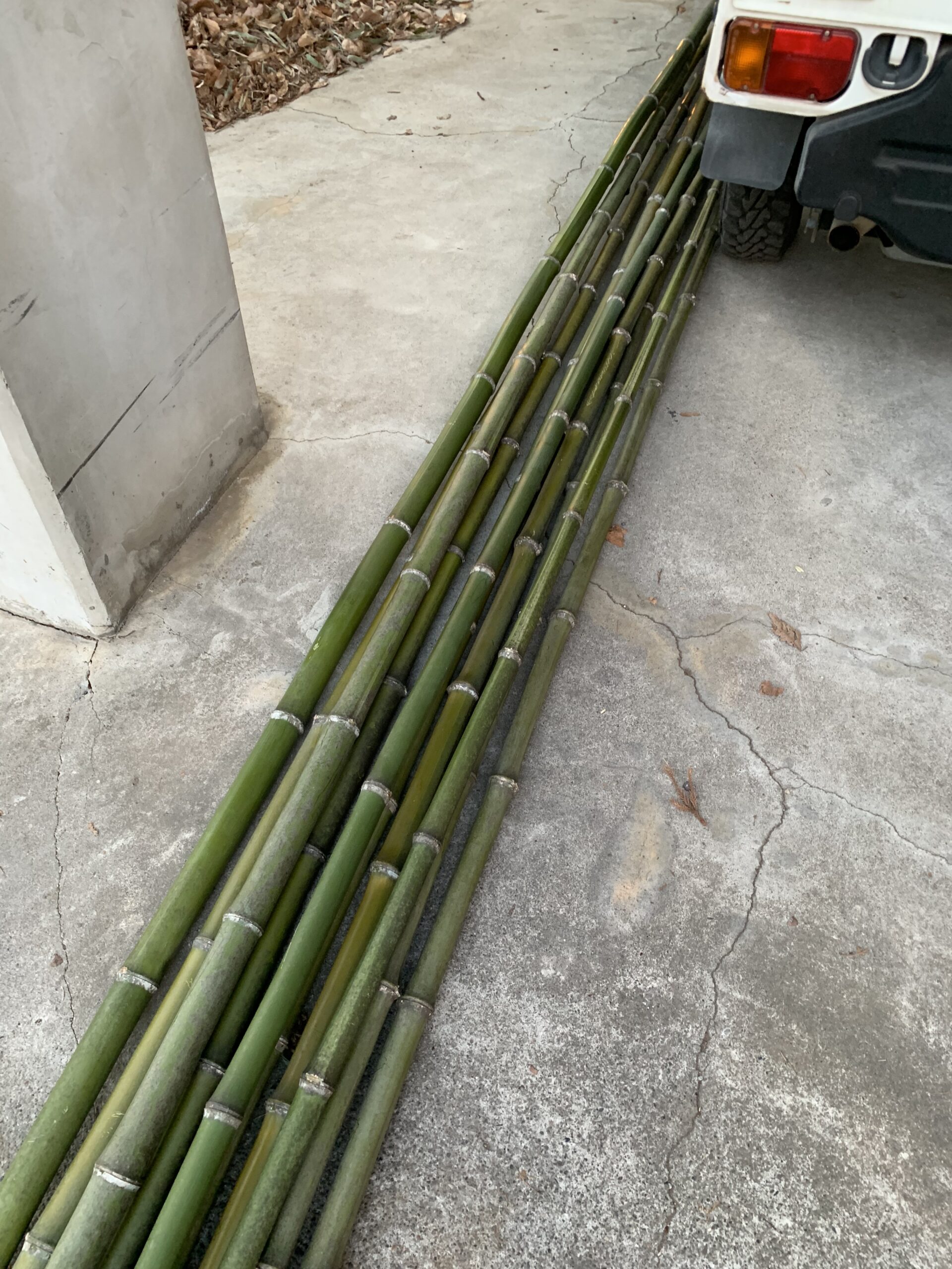 竹垣用の竹材