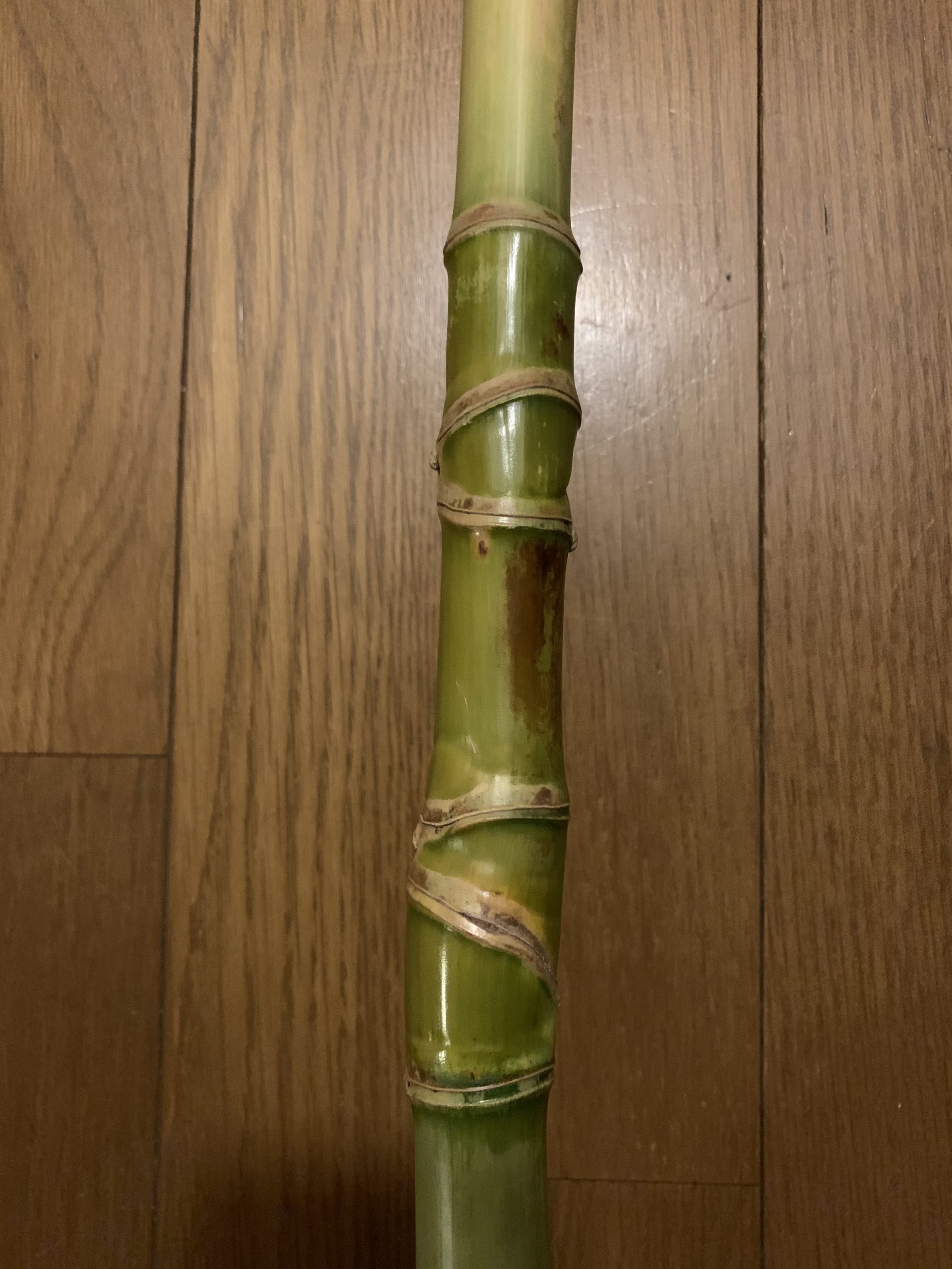 鈴将造園の仕事：亀甲竹